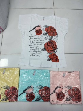 Bluzki damskie , size 2-4xl, paczka 12szt,mix kolor