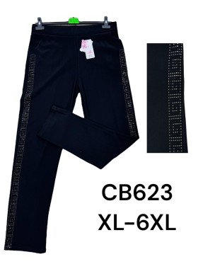 Spodnie damskie , size XL-6Xl, paczka 12szt,1 kolor