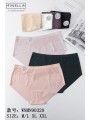 Majtki Damskie ,Size M-2XL ,Paczka 24szt ,mix kolor