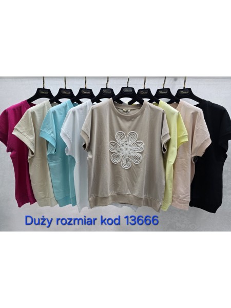 Bluzki damskie Tureckie, size standard ,paczka 12szt mix kolor