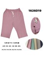 Spodenki damskie , size 2-6xl ,paczka 12szt,mix kolor