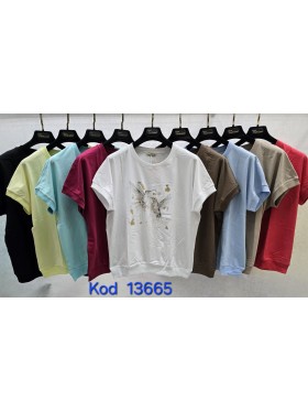 Bluzki damskie Tureckie, size standard ,paczka 12szt mix kolor
