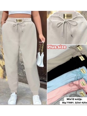 Spodnie damskie ,bigsize 2-5xl ,paczka 12szt , mix kolor