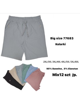 Spodenki damskie ,bigsize 2-6xl ,paczka 12szt , mix kolor