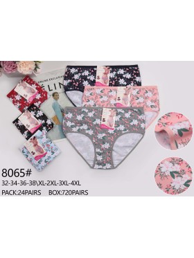 Majtki damskie, size xl-4xl paczka 24szt ,mix kolor