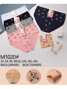 Majtki damskie, size xl-4xl paczka 24szt ,mix kolor