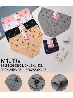 Majtki damskie, size xl-4xl paczka 24szt ,mix kolor