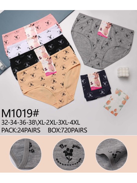 Majtki damskie, size xl-4xl paczka 24szt ,mix kolor