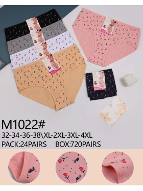 Majtki damskie, size xl-4xl paczka 24szt ,mix kolor