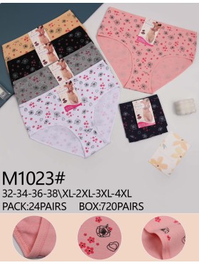 Majtki damskie, size xl-4xl paczka 24szt ,mix kolor