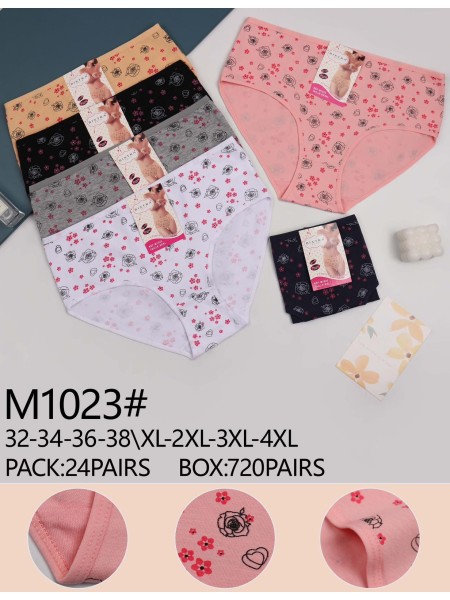 Majtki damskie, size xl-4xl paczka 24szt ,mix kolor