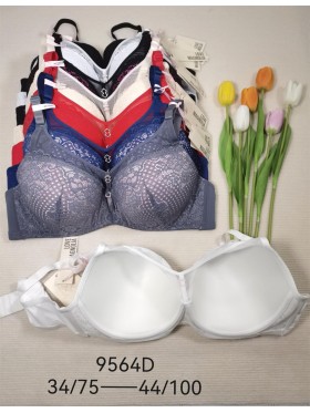 Biustonosz damskie,Miska D,rozmiar 75-100,1kolor (6szt /paczka)