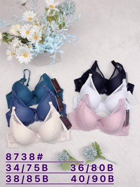 Biustonosz damskie,Miska B,rozmiar 75-90,1kolor (6szt /paczka)