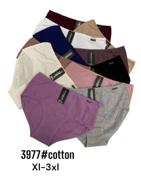 Majtki damskie, size xl-3xl paczka 24szt ,mix kolor