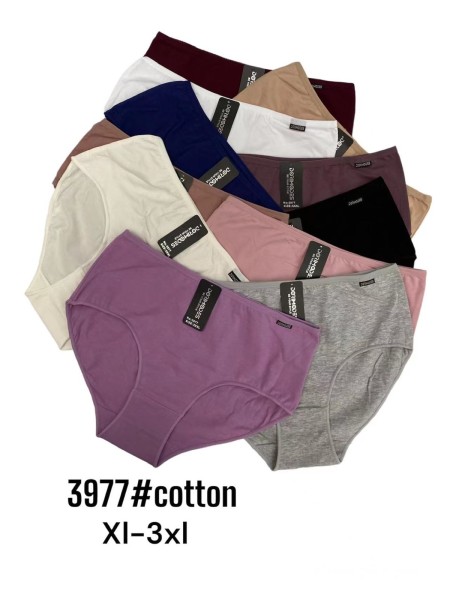 Majtki damskie, size xl-3xl paczka 24szt ,mix kolor
