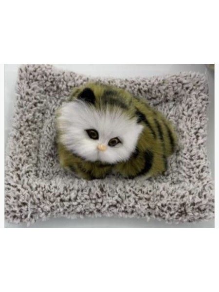 ZABAWKI cute cat 17*15cm . 12 SZT / PACZKA, KOLOR JAK NA ZDZIĘCIU