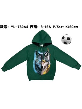 Bluza dzieciece rozm 8-16 lat, paczka 5szt, 1 kolor