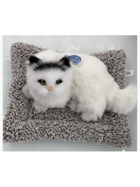 ZABAWKI cute cat 17*15cm . 12 SZT / PACZKA, KOLOR JAK NA ZDZIĘCIU