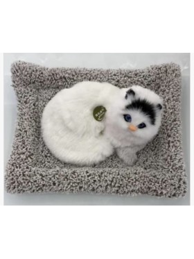 ZABAWKI cute cat 22*18cm . 12 SZT / PACZKA, KOLOR JAK NA ZDZIĘCIU
