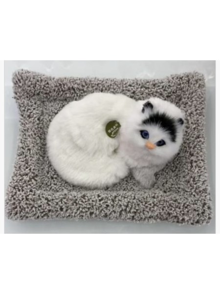 ZABAWKI cute cat 22*18cm . 12 SZT / PACZKA, KOLOR JAK NA ZDZIĘCIU