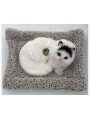 ZABAWKI cute cat 22*18cm . 12 SZT / PACZKA, KOLOR JAK NA ZDZIĘCIU