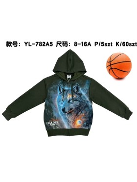 Bluza dzieciece rozm 8-16 lat, paczka 5szt, 1 kolor