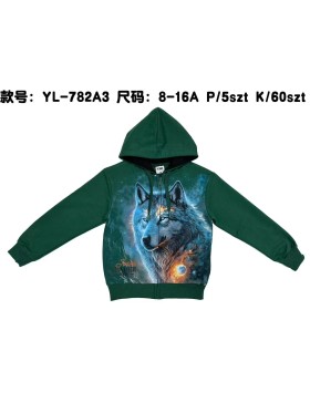 Bluza dzieciece rozm 8-16 lat, paczka 5szt, 1 kolor