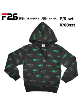 Bluza dzieciece rozm 8-16 lat, paczka 5szt, 1 kolor