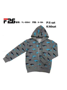 Bluza dzieciece rozm 8-16 lat, paczka 5szt, 1 kolor