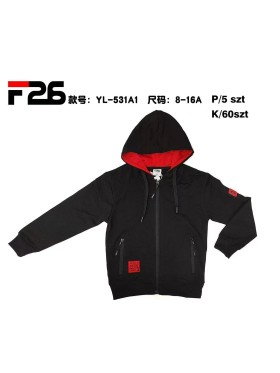 Bluza dzieciece rozm 8-16 lat, paczka 5szt, 1 kolor