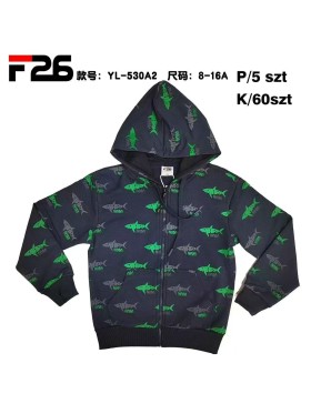 Bluza dzieciece rozm 8-16 lat, paczka 5szt, 1 kolor