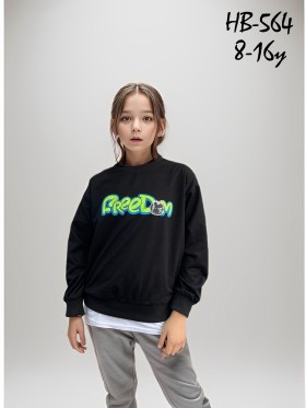 Bluza dzieciece rozm 8-16 lat, paczka 5szt, 1 kolor