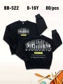 Bluza dzieciece rozm 8-16 lat, paczka 5szt, 1 kolor