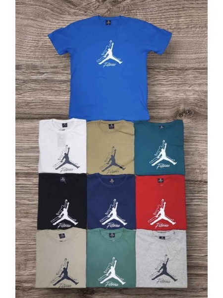 Bluzki MĘSKA  , Size m-2xl,paczka 12szt,mix kolor