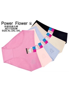 Majtki damskie, size xl-3xl  paczka 24szt ,mix kolor