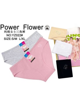 Majtki damskie, size s-xl paczka 24szt ,mix kolor