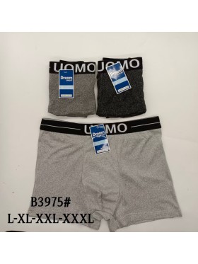 BOKSERKI MĘSKIE .SIZE: L -3XL (24 SZT/PACZKA) KOLOR JAK NA ZDZIĘCIU