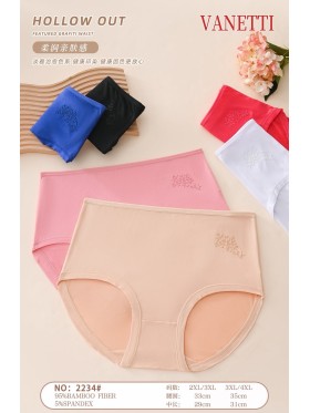 Majtki damskie, size 2-4xl paczka 24szt ,mix kolor