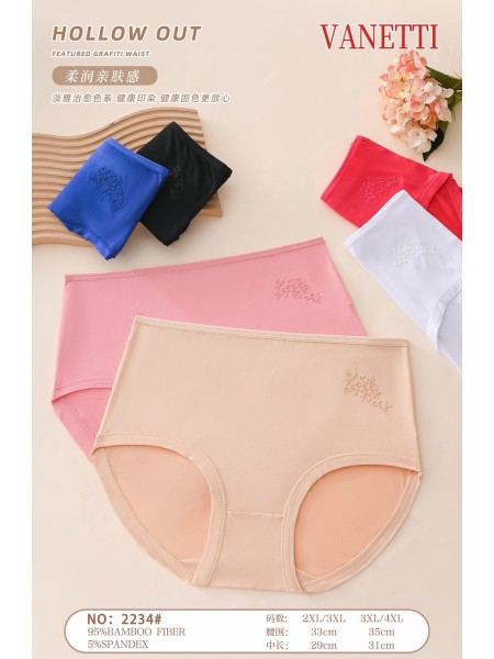 Majtki damskie, size 2-4xl paczka 24szt ,mix kolor