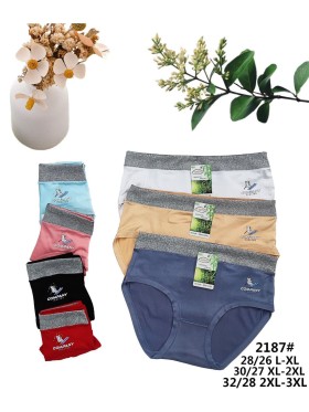 Majtki damskie, size xl-3xl paczka 24szt ,mix kolor