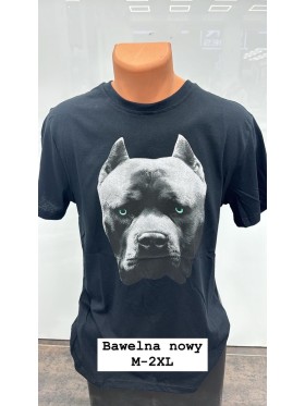 Bluzki MĘSKA , Size m-2xl,paczka 12szt,mix kolor