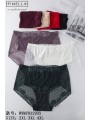 Majtki damskie, size 2-4xl paczka 24szt ,mix kolor
