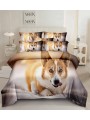 Komplet pościeli 5D  „”” MILANO „” 100% satyna - bawełna 3 Częściowy Rozmiar : 160/200cm