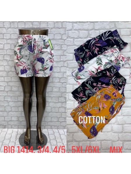 Spodenki damskie  ,size 3-6xl, paczka 12szt,mix kolor