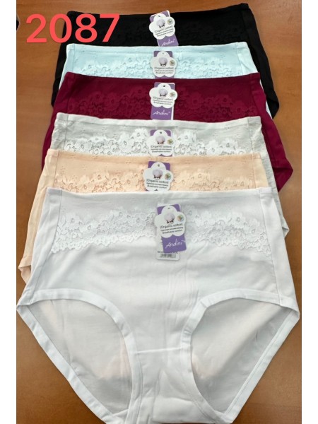 Majtki damskie, size xl-3xl paczka 24szt ,mix kolor