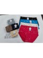 Majtki damskie, size4-7xl paczka 24szt ,mix kolor