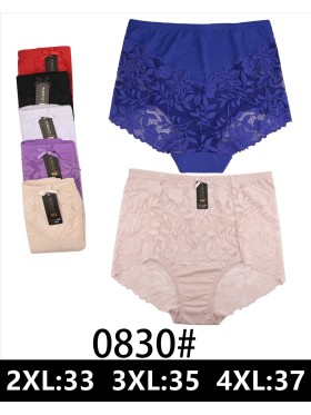 Majtki damskie, size 2-4xl paczka 24szt ,mix kolor