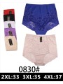 Majtki damskie, size 2-4xl paczka 24szt ,mix kolor