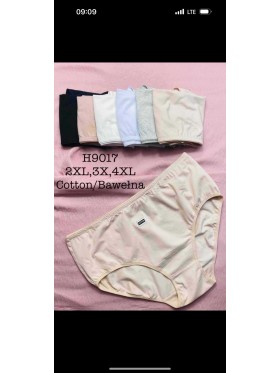 Majtki damskie, size 2-4xl paczka 24szt ,mix kolor