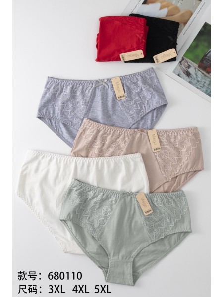 Majtki damskie, size 3-5xl paczka 24szt ,mix kolor